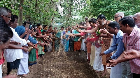 கோயில் நந்தவனத்தில் நெல் தெளித்த கிராம மக்கள்.