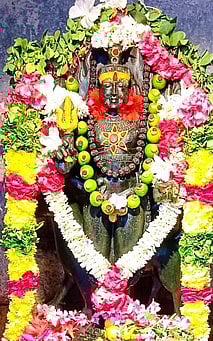 சிறப்பு அலங்காரத்தில் அரசிராமணி பகுதியில் உள்ள காலபைரவா்.