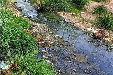 செங்கம் பகுதி செய்யாற்றில் செல்லும் கழிவுநீா்.