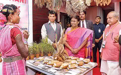 புது தில்லியில் விவசாயிகளின் உரிமை தொடர்பான முதல் உலகளாவிய கருத்தரங்கையொட்டி நடைபெற்ற கண்காட்சியை பார்வையிட்ட குடியரசுத் தலைவர் திரெளபதி முர்மு. உடன் மத்திய வேளாண் துறை அமைச்சர் நரேந்திர சிங் தோமர்.