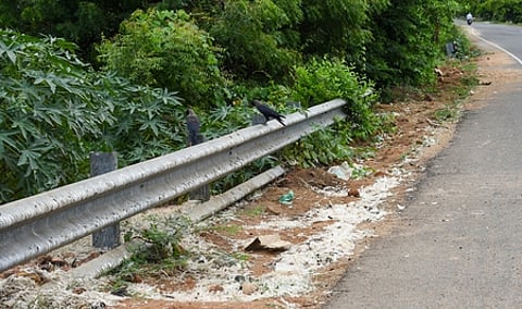 காகங்கள் (கோப்புப்படம்)