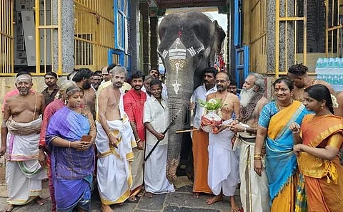 சிதம்பரம் நடராஜர் கோயிலுக்கு நிரந்திரமாக தங்க வந்துள்ள சிவகாமலட்சுமி யானையை வரவேற்று அழைத்துச் சென்ற பொதுதீட்சிதர்கள்
