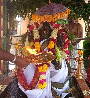 ஸ்ரீ தன்வந்திரி ஆரோக்ய பீடத்தில் விநாயகருக்கு நடைபெற்ற சிறப்பு பூஜை.