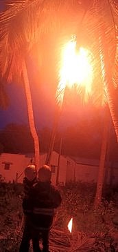 விஷ வண்டுகளை தீயிட்டு அழித்த தீயணைப்புத்துறையினா்.