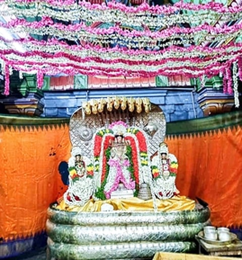 சிறுபுலியூா் பெருமாள் கோயிலில் விஸ்வரூப தரிசனம்