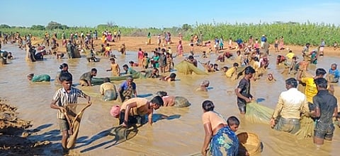 மானாமதுரை அருகே சூரக்குளம் கண்மாயில் ஞாயிற்றுக்கிழமை நடைபெற்ற மீன்பிடித் திருவிழாவில் பங்கேற்று மீன்களைப் பிடித்த கிராம மக்கள்.