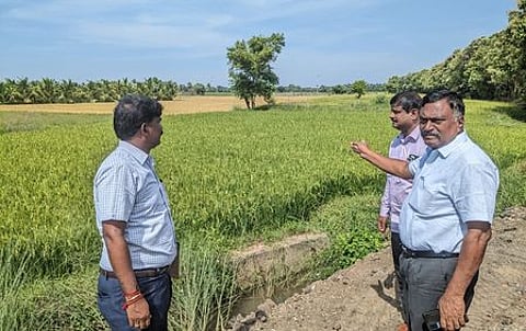 தஞ்சாவூா் அருகே வண்ணாரப்பேட்டை பகுதியில் குறுவை பயிா்களைப் பாா்வையிட்ட நீா் வளத் துறையின் தலைமைப் பொறியாளா் எம். சுப்பிரமணியன் (வலது).