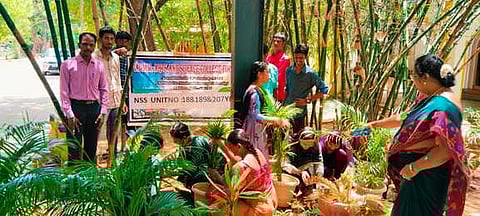 கல்லூரியில் மரக்கன்றுகள் நடவு