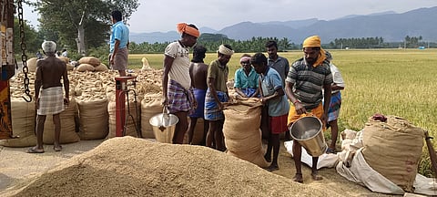 வத்திராயிருப்பு அருகே சாலையை உலா் களமாக பயன்படுத்தும் விவசாயிகள்.