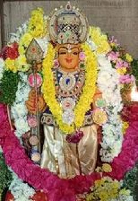 புதுக்கோட்டை மேலராஜவீதி தண்டாயுதபாணி கோயிலில் திங்கள்கிழமை சிறப்பு அலங்காரத்தில் காட்சியளித்த தண்டாயுதபாணி.