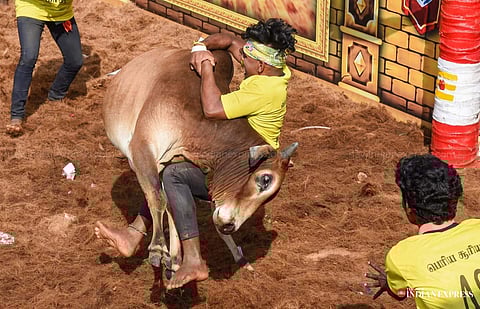 கோப்புப்படம்