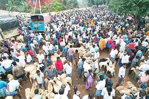 img_20240113_wa0043_1301chn_158_8