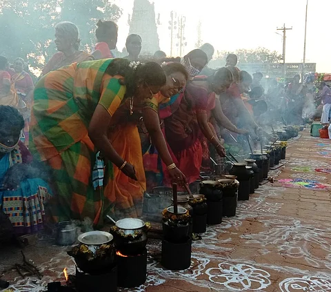 தமிழகம் முழுவதும் பொங்கல் கோலாகலமாக கொண்டாட்டம்!