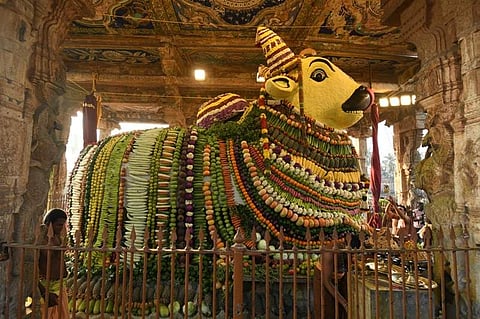 தைப்பொங்கல் பெருவிழாவையொட்டி, தஞ்சாவூர் பெரிய கோயிலில் உள்ள மகா நந்திகேசுவரருக்கு ஆயிரம் கிலோ எடையில் காய்கறிகள், மலர்கள், இனிப்புகளால் செய்யப்பட்ட அலங்காரம்.