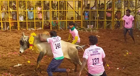 வடமலாப்பூரில் சீறிப்பாய்ந்து வரும் காளைகள்!