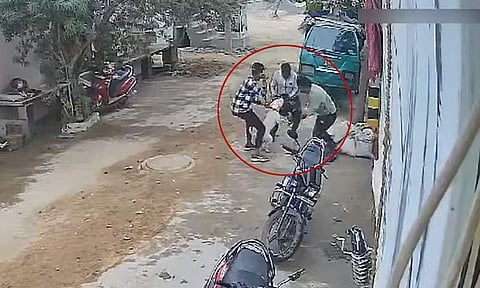 ஒன்றரை வயது குழந்தையைக் கடித்துக் குதறிய பிட்புல் நாய்: மீட்கப் போராடும் விடியோ
