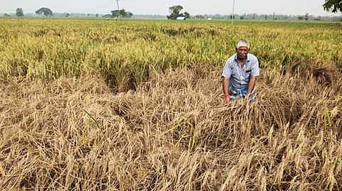 மாதிரிப்படம்