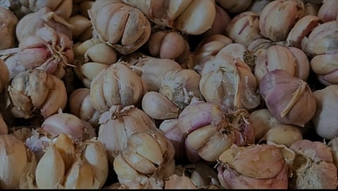 ஒரு கிலோ பூண்டு ரூ.390-க்கு விற்பனை