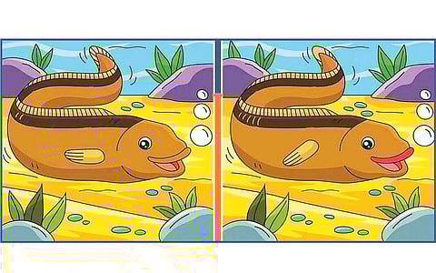 கண்டுபிடி கண்ணே!