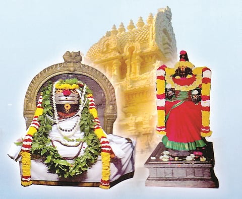 தானம் பெற்ற தருமேசுவரர்!