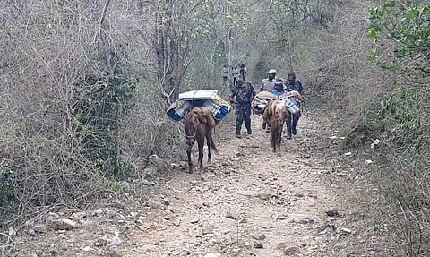 நத்தம்: குதிரையில் கொண்டு செல்லப்பட்ட வாக்கு இயந்திரங்கள்! 