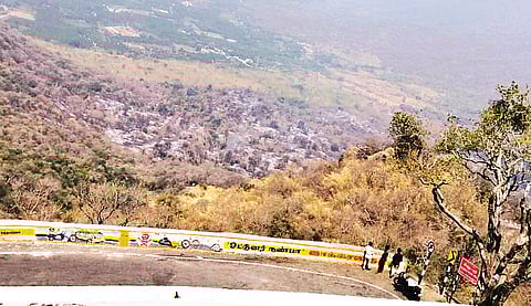கொல்லிமலை வனத்தை மீட்டெடுக்க...