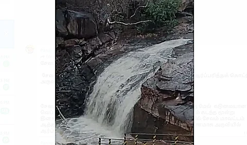 தொடர் மழையின் காரணமாக  முட்டல் நீர்வீழ்ச்சியில் ஆர்ப்பரித்துக் கொட்டும் அருவி நீர்.

