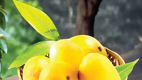 மாம்பழத்தின் மருத்துவப் பயன்கள்...