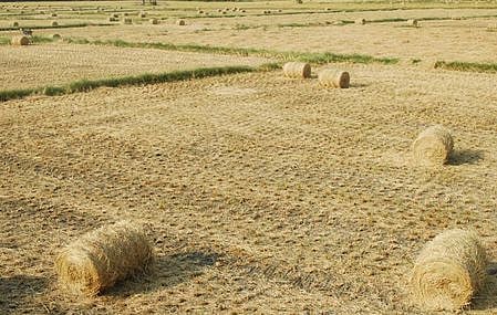 கோப்புப்படம். 