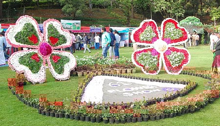 கொடைக்கானல் பிரையண்ட் பூங்கா கூடுதல் நேரம் திறப்பு