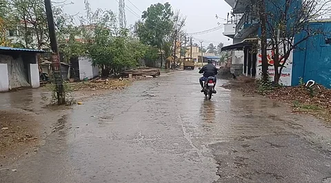 வேலூர் மாவட்டத்தில் அதிகாலை முதல்  மிதமான மழை பெய்து வருகிறது.