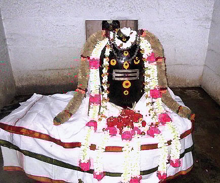 கற்கள் பூக்களாக மாறிய மகிமை