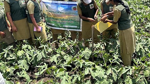 வேளாண் பல்கலை.யில் பட்டயப் படிப்பு: விண்ணப்பிக்க மீண்டும் வாய்ப்பு