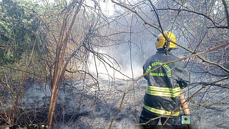 தீயை அணைக்கும் பணியில் ஈடுபட்ட தீயணைப்பு வீரா்.