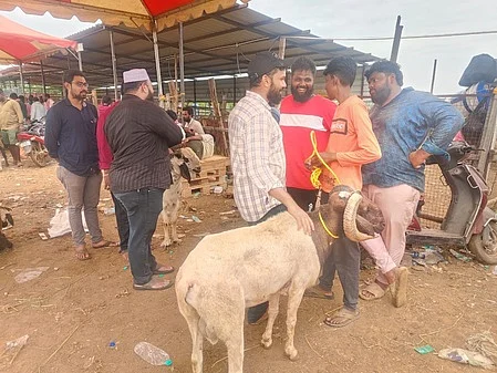 ~மாதவரம் ஆட்டுச் சந்தையில் விற்பனைக்கு கொண்டு வரப்பட்ட ஆடுகள். ~ ~ ~