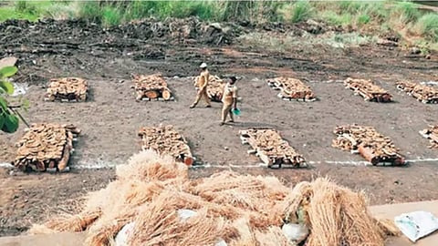 கள்ளக்குறிச்சி கள்ளச்சாராய வழக்கில் நாளை தீர்ப்பு! 