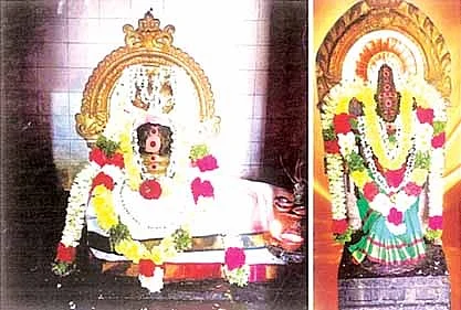 சகல தோஷங்களை நீக்கும்...