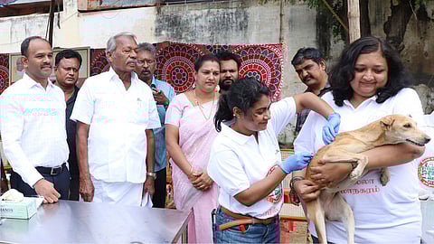 நாய்களுக்கு ‘ரேபிஸ்’ தடுப்பூசி முகாம்