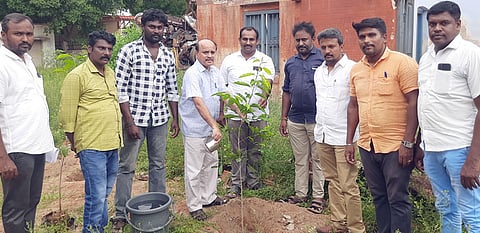 பவானி வட்டாட்சியா் அலுவலக வளாகத்தில் மரக்கன்று நடுகிறாா் கோபி கோட்டாட்சியா் கே.கண்ணப்பன். உடன், பவானி வட்டாட்சியா் தியாகராஜ் மற்றும் வருவாய்த் துறை அலுவலா்கள்.