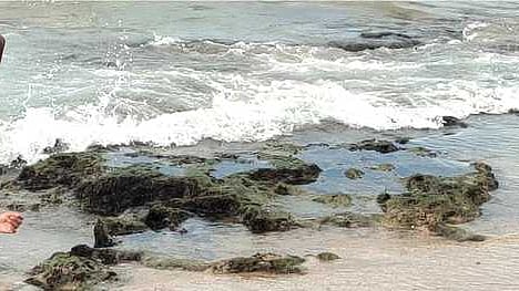  திருச்செந்தூா் சுப்பிரமணிய சுவாமி கோயில் அருகே கடல் நீா் உள்வாங்கியதால் வெளியே தெரிந்த பாறைகள்.