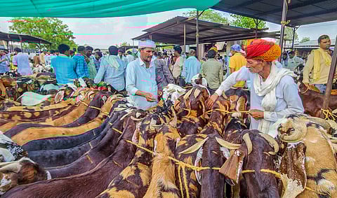 பக்ரீத் பண்டிகையை முன்னிட்டு புஞ்சை புளியம்பட்டி கால்நடை சந்தையில் பல கோடி ரூபாய் அளவிற்கு ஆடுகள் விற்பனையானது.