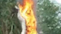 ஆந்திர முன்னாள் முதல்வர் சிலைக்கு தீ வைப்பு!