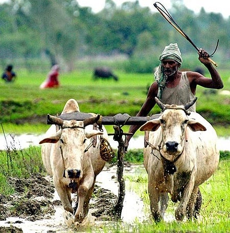 அதிக மாற்றமில்லாத சிபிஐ-ஏஎல் பணவீக்கம்