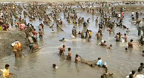 மணிமுக்தா அணையில் மீன் பிடி திருவிழா