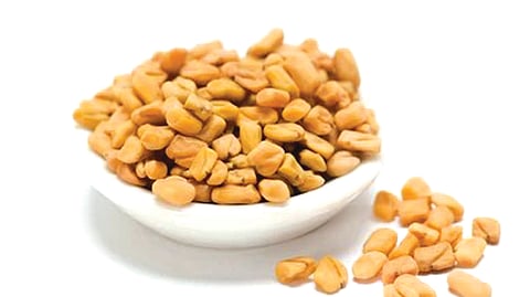 ஆயுள் காக்கும் ஆயுர்வேதம்: யூரிக் ஆசிட் அளவு அதிகரிப்பைக் குறைக்க...