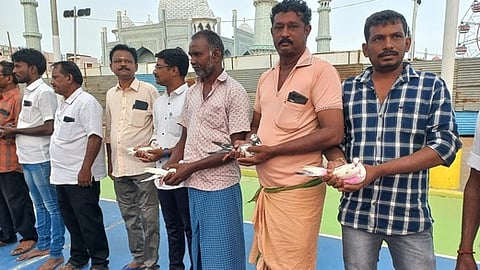 கரூரில் சாதா புறா
பந்தயம் தொடக்கம்