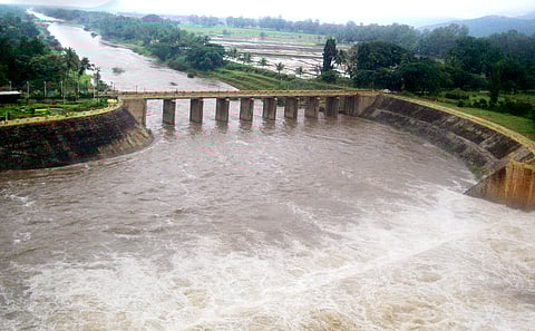 அமராவதி அணையில் இருந்து வெளியேறும் உபரிநீா்.