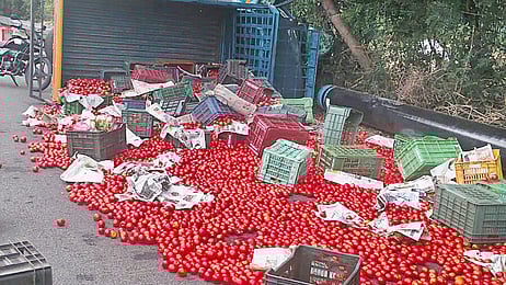 வேன் கவிழ்ந்து சாலையில் சிதறிக் கிடக்கும் தக்காளி.