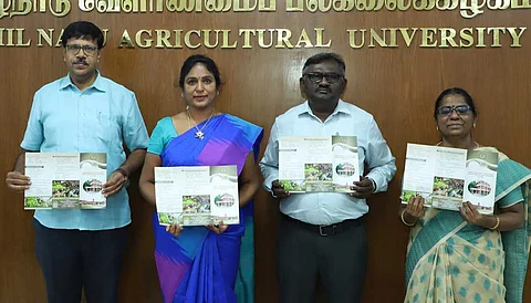 புதிய பட்டயப் படிப்புகள் குறித்த கையேட்டை வெளியிடுகிறாா் துணைவேந்தா் வெ.கீதாலட்சுமி.