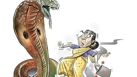 கோப்புப் படம் 